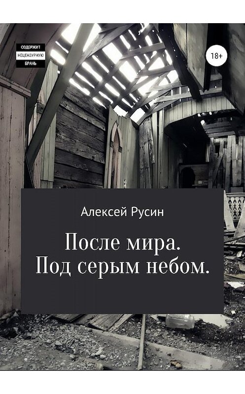 Обложка книги «После мира. Под серым небом» автора Алексея Русина издание 2019 года.