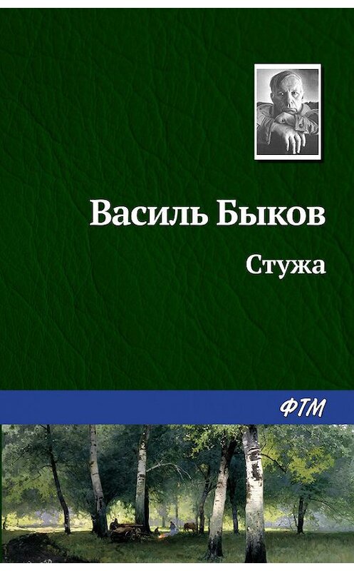 Обложка книги «Стужа» автора Василия Быкова издание 2008 года. ISBN 9785446701162.