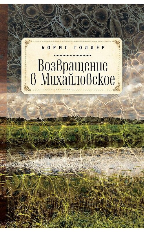Обложка книги «Возвращение в Михайловское» автора Бориса Голлера издание 2017 года. ISBN 9785906823984.