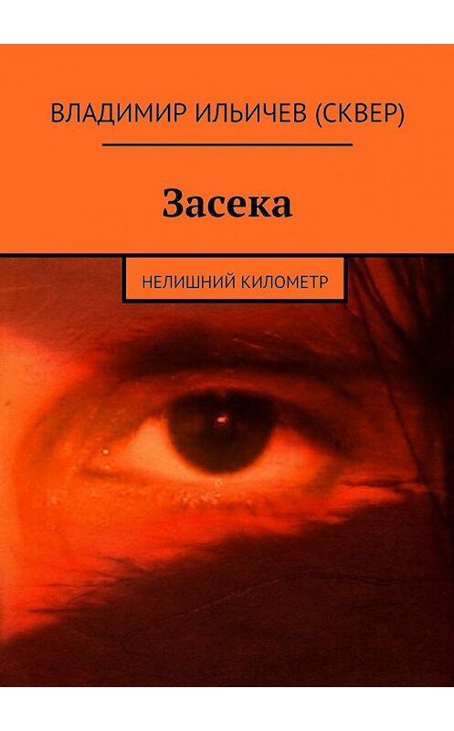 Обложка книги «Засека» автора Владимира Ильичева (сквер). ISBN 9785447447229.