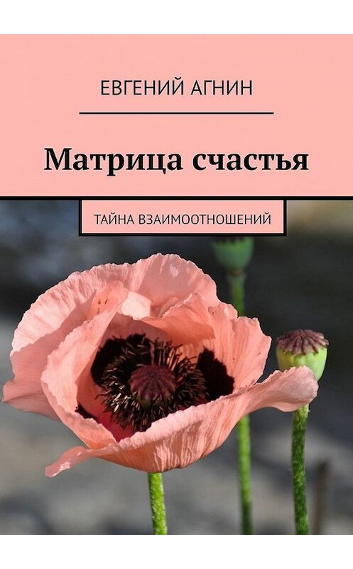 Обложка книги «Матрица счастья. Тайна взаимоотношений» автора Евгеного Агнина. ISBN 9785005085207.