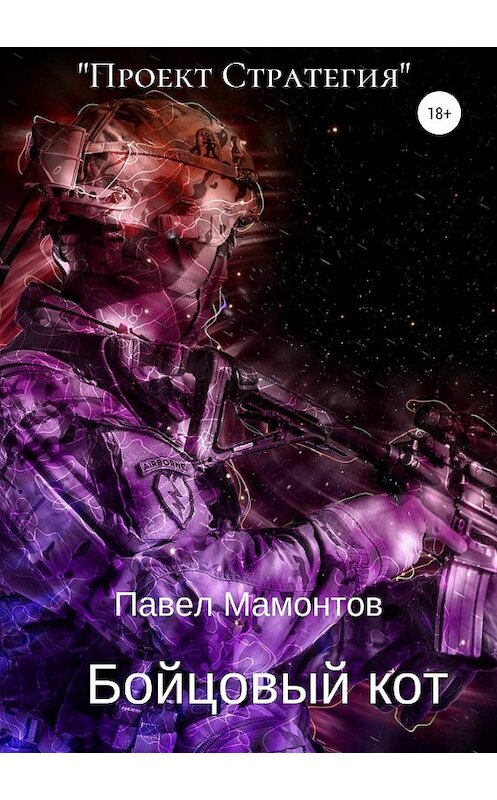Обложка книги «Бойцовый кот» автора Павела Мамонтова издание 2019 года.