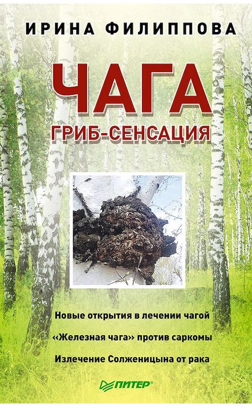 Обложка книги «Чага. Гриб-сенсация» автора Ириной Филипповы издание 2014 года. ISBN 9785496008341.