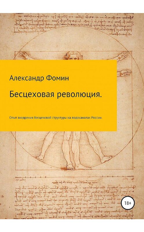 Обложка книги «Бесцеховая революция. Опыт внедрения бесцеховой структуры управления на водоканалах России.» автора Александра Фомина издание 2020 года.