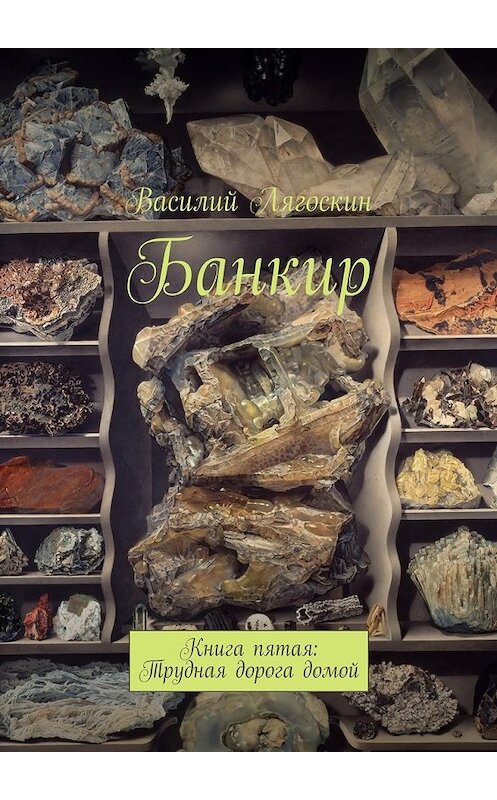 Обложка книги «Банкир. Книга пятая: Трудная дорога домой» автора Василия Лягоскина. ISBN 9785449095411.