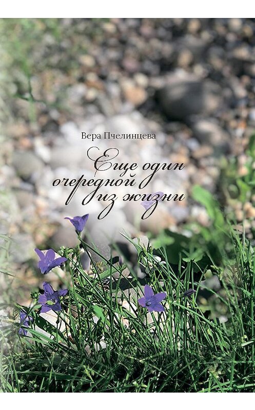 Обложка книги «Еще один очередной из жизни…» автора Веры Пчелинцевы. ISBN 9785604451595.