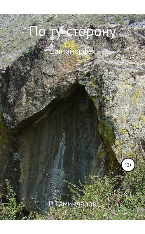 Обложка книги «По ту сторону» автора Равиля Таминдарова издание 2018 года.
