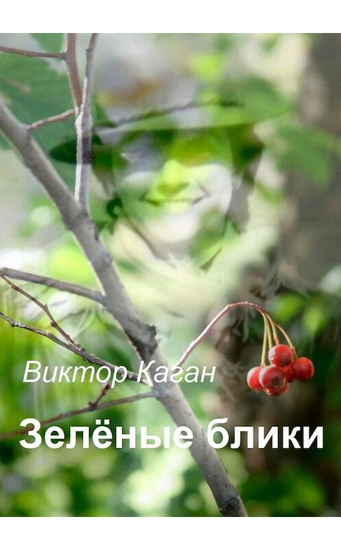 Обложка книги «Зелёные блики» автора Виктора Кагана. ISBN 9785449033604.