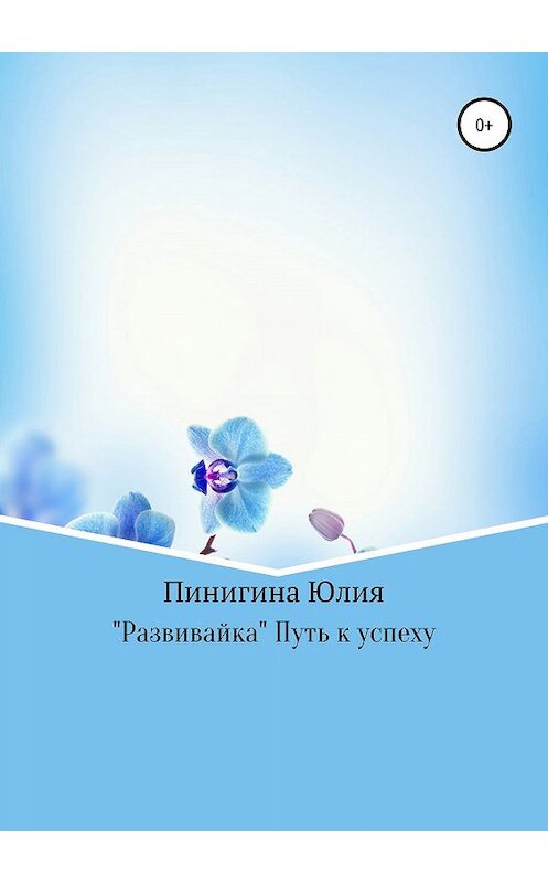 Обложка книги ««Развивайка» Путь к успеху» автора Юлии Пинигины издание 2019 года.