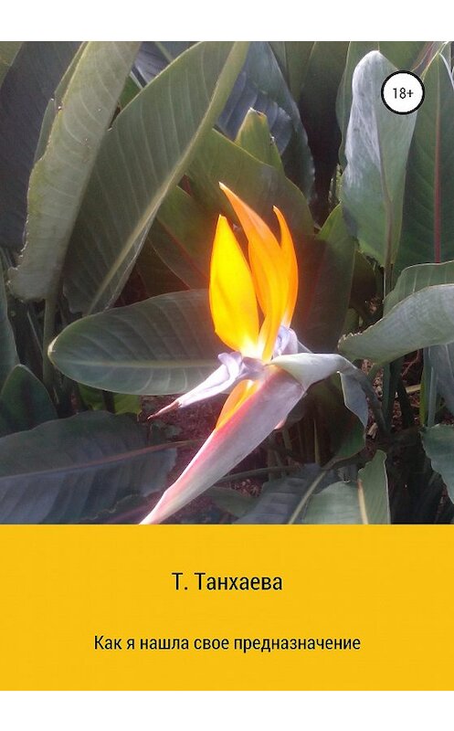 Обложка книги «Как я нашла свое предназначение» автора Туяны Танхаевы издание 2020 года.