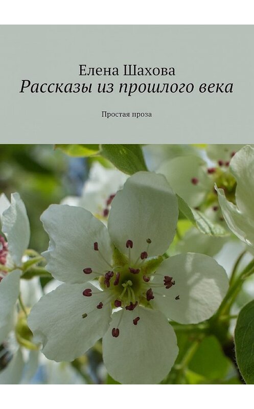Обложка книги «Рассказы из прошлого века. Простая проза» автора Елены Шаховы. ISBN 9785447498085.