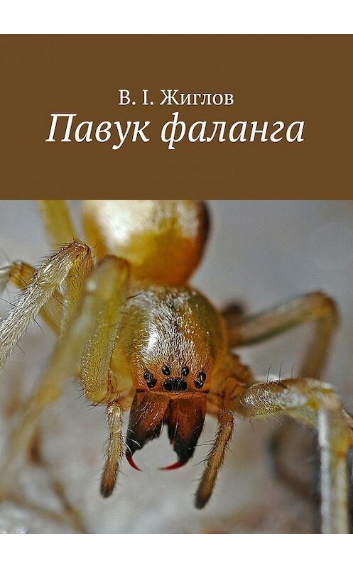 Обложка книги «Павук фаланга» автора В. Жиглова. ISBN 9785447476342.