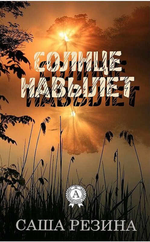 Обложка книги «Солнце навылет» автора Саши Резины издание 2016 года.