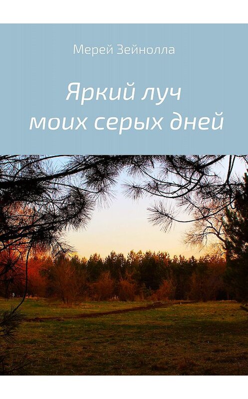 Обложка книги «Яркий луч моих серых дней» автора Мерей Зейноллы издание 2018 года.