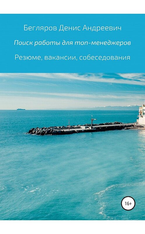 Обложка книги «Комплексный поиск работы для топ-менеджеров в коммерции: резюме, вакансии, собеседования» автора Дениса Беглярова издание 2019 года.