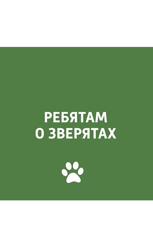 Обложка аудиокниги «Животные Дагестана» автора .