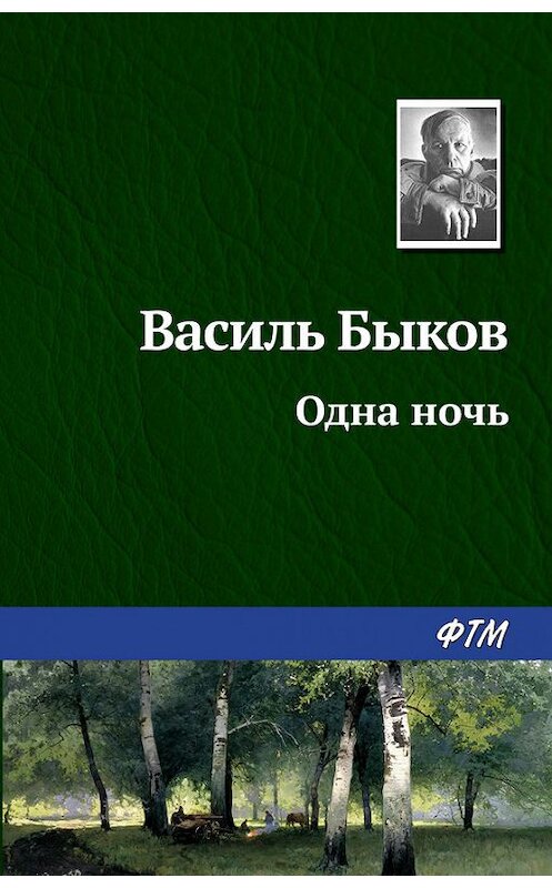 Обложка книги «Одна ночь» автора Василия Быкова. ISBN 9785446701100.