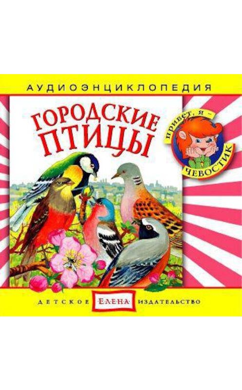 Обложка аудиокниги «Городские птицы» автора Неустановленного Автора.