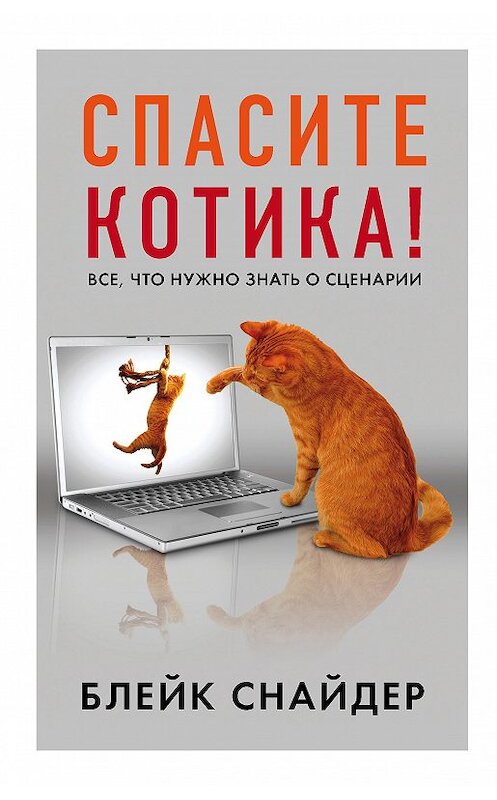 Обложка книги «Спасите котика!» автора Блейка Снайдера издание 2018 года. ISBN 9785040940950.