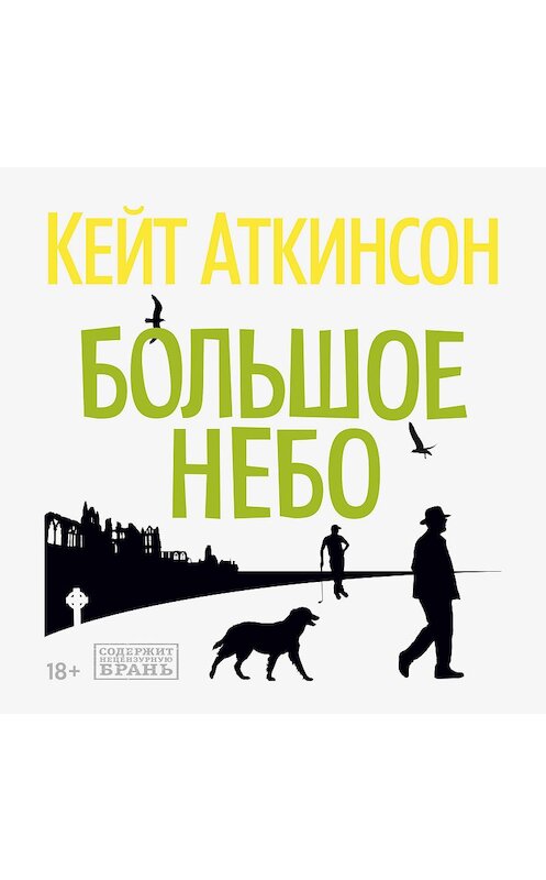 Обложка аудиокниги «Большое небо» автора Кейта Аткинсона. ISBN 9785389182318.