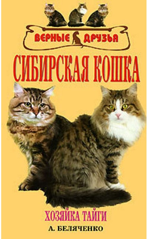 Обложка книги «Сибирская кошка» автора Андрей Беляченко издание 2007 года. ISBN 5984353733.