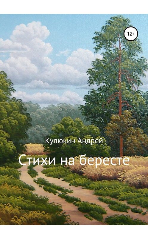 Обложка книги «Стихи на бересте» автора Андрея Кулюкина издание 2019 года.