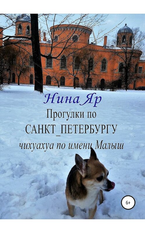 Обложка книги «Прогулки по Санкт-Петербургу» автора Ниной Яр издание 2019 года. ISBN 9785532101715.