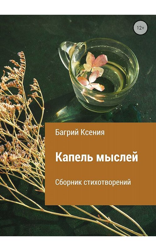 Обложка книги «Сборник стихотворений «Капель мыслей»» автора Ксении Багрия издание 2018 года.