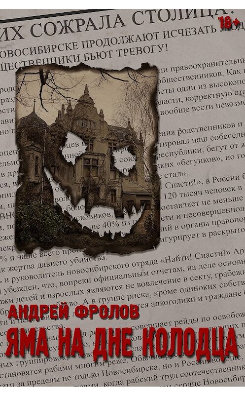Обложка книги «Яма на дне колодца» автора Андрея Фролова.