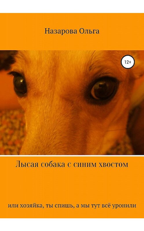 Обложка книги «Лысая собака с синим хвостом, или хозяйка, ты спишь, а мы тут всё уронили!» автора Ольги Назаровы издание 2020 года. ISBN 9785532073050.