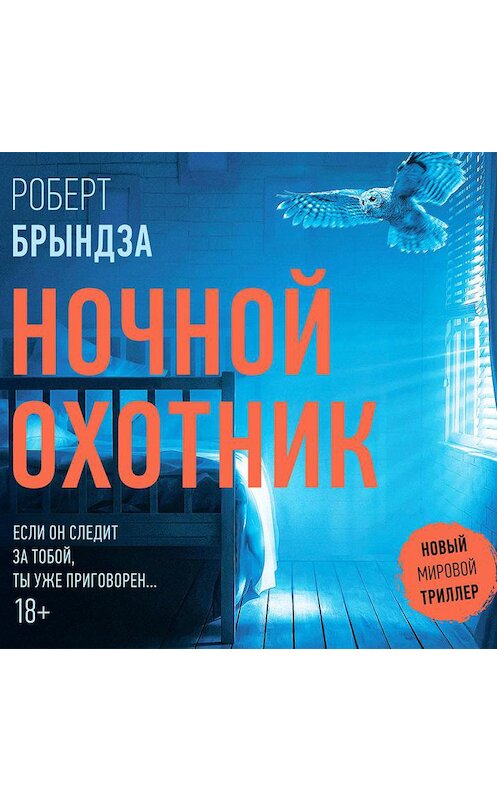 Обложка аудиокниги «Ночной Охотник» автора Роберт Брындзы.