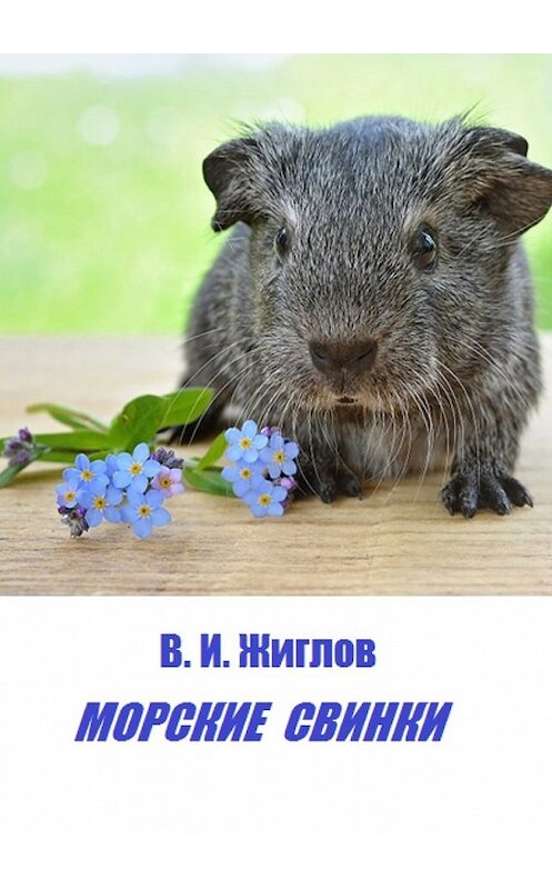 Обложка книги «Морские свинки» автора В. Жиглова. ISBN 9785448540424.