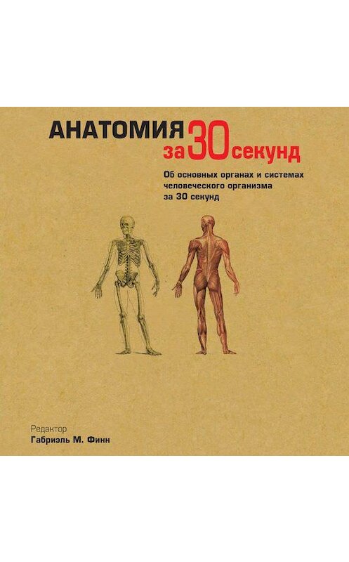 Обложка аудиокниги «Анатомия за 30 секунд» автора Коллектива Авторова. ISBN 9789177351801.