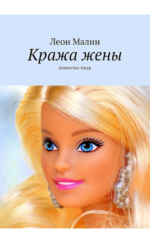 Обложка книги «Кража жены. Агентство Амур» автора Леона Малина. ISBN 9785449071576.