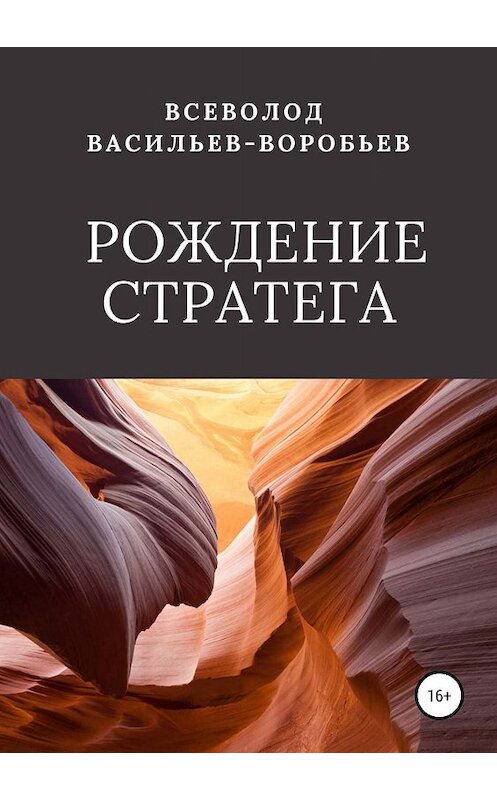 Обложка книги «Рождение стратега» автора Всеволода Васильев-Воробьева издание 2019 года.