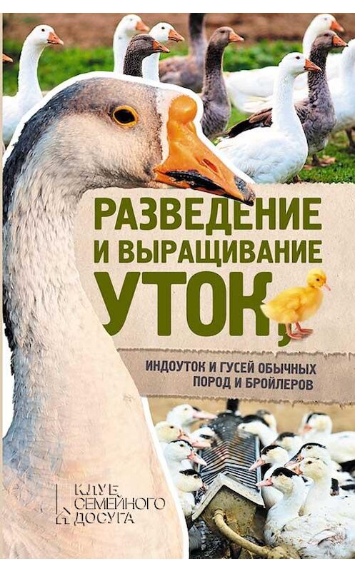 Обложка книги «Разведение и выращивание уток, индоуток и гусей обычных пород и бройлеров» автора Неустановленного Автора издание 2017 года. ISBN 9786171225503.