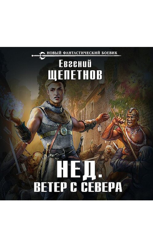 Обложка аудиокниги «Ветер с севера» автора Евгеного Щепетнова.