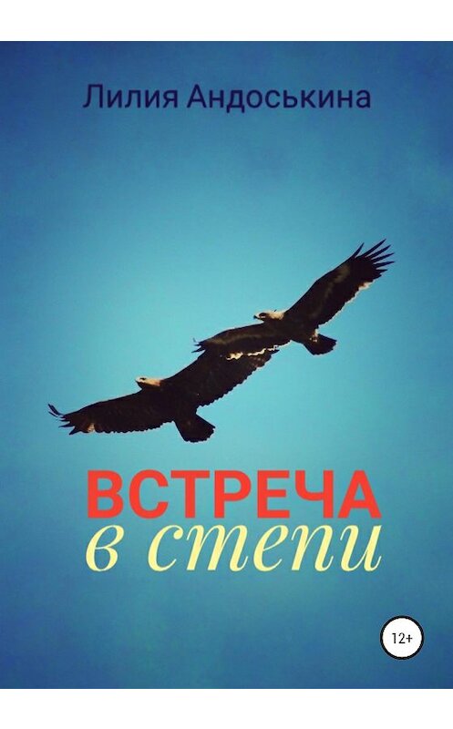 Обложка книги «Встреча в степи» автора Лилии Андоськины издание 2020 года.