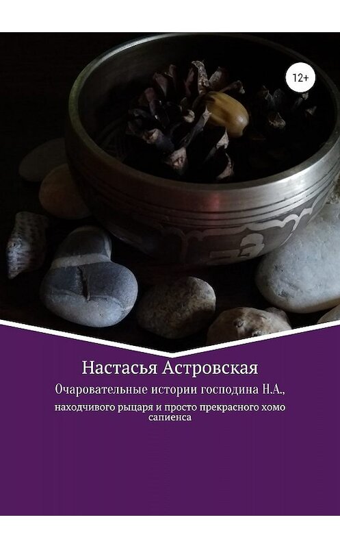 Обложка книги «Очаровательные истории господина Н.А., находчивого рыцаря и просто прекрасного хомо сапиенса» автора Настасьи Астровская издание 2019 года.