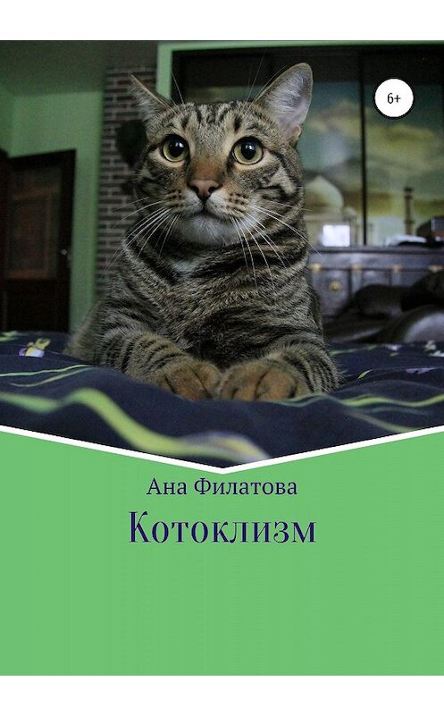 Обложка книги «Котоклизм» автора Аны Филатовы издание 2020 года.