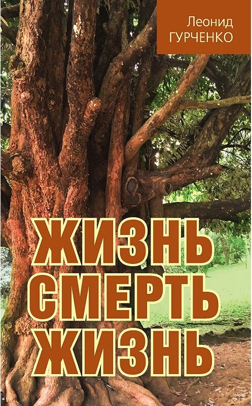 Обложка книги «Жизнь – смерть – жизнь» автора Леонид Гурченко издание 2020 года. ISBN 9785907255586.