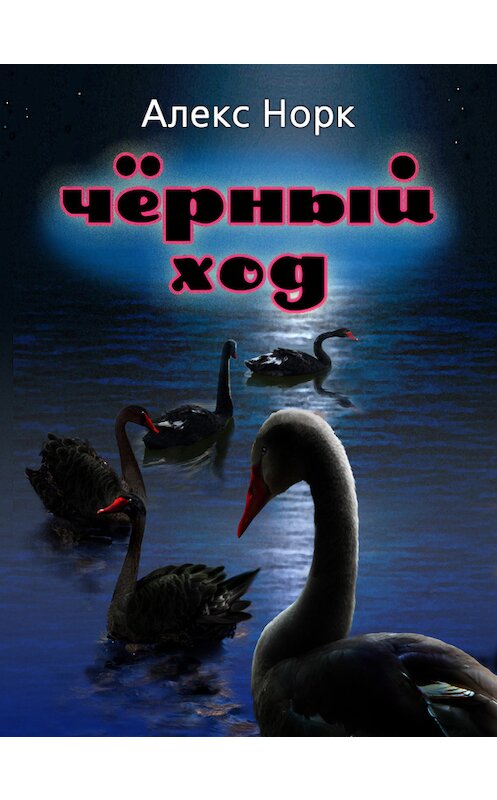 Обложка книги «Черный ход» автора Алекса Норка.