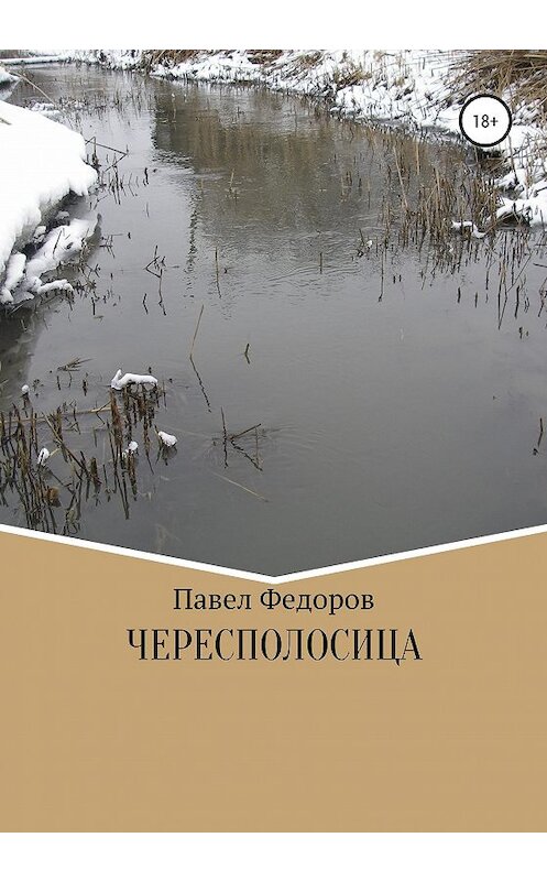 Обложка книги «Чересполосица» автора Павела Федорова издание 2020 года.