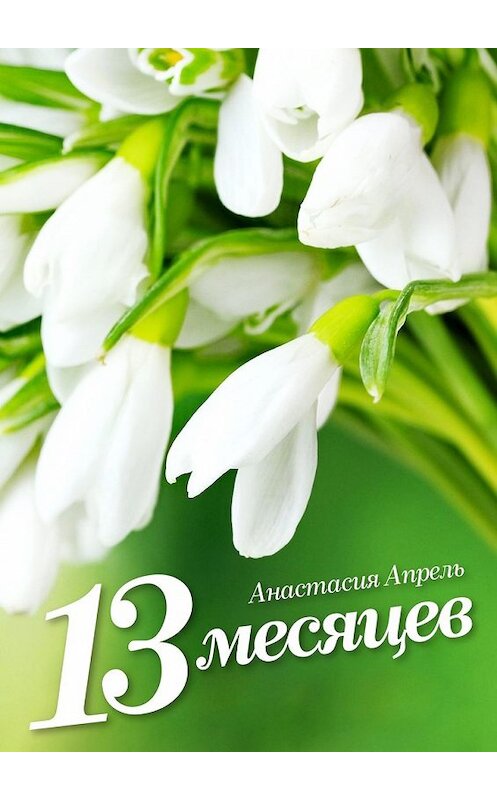 Обложка книги «13 месяцев» автора Анастасии Апрели. ISBN 9785447459635.