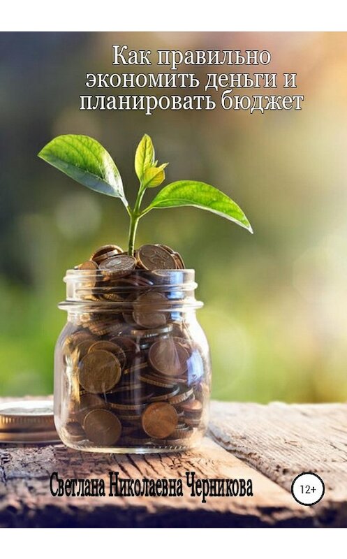 Обложка книги «Как правильно экономить деньги и планировать бюджет» автора Светланы Черниковы издание 2020 года.