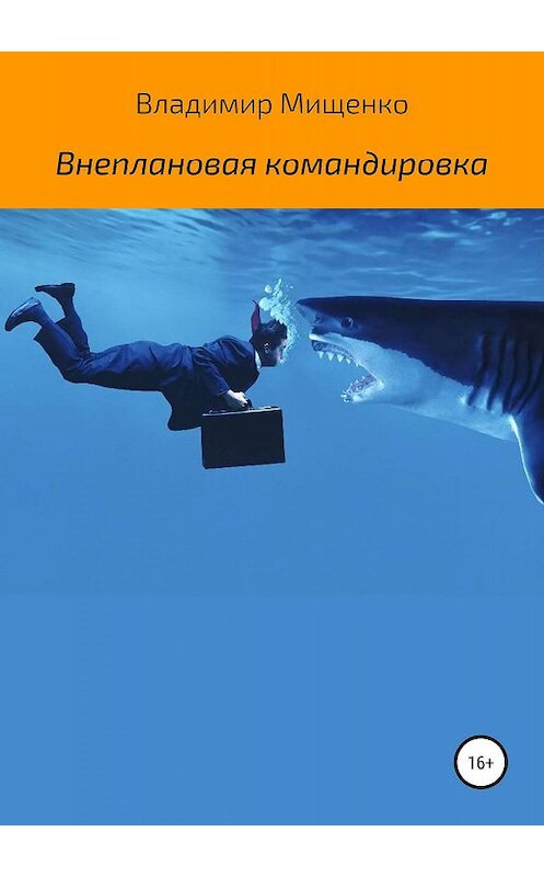 Обложка книги «Внеплановая командировка» автора владимир Мищенко издание 2019 года.