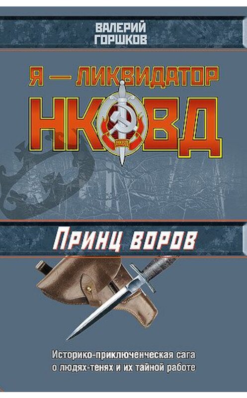 Обложка книги «Принц воров» автора Валерия Горшкова издание 2005 года. ISBN 5699132910.