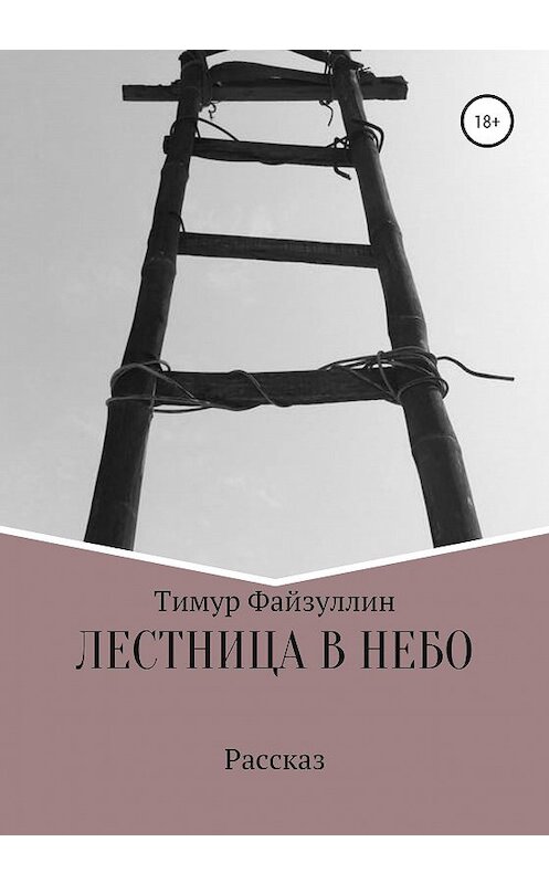 Обложка книги «Лестница в небо» автора Тимура Файзуллина издание 2020 года.