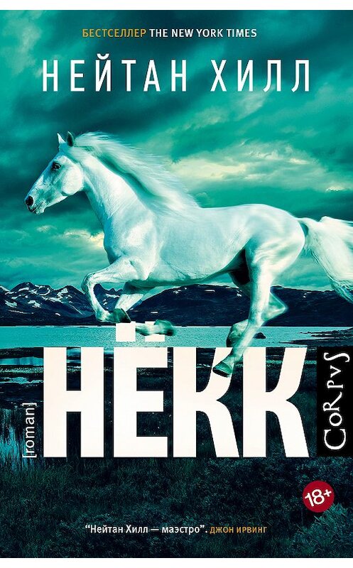 Обложка книги «Нёкк» автора Нейтана Хилла издание 2018 года. ISBN 9785170924783.