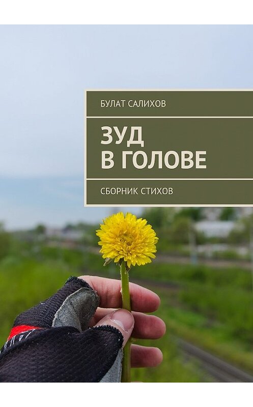 Обложка книги «Зуд в голове. Сборник стихов» автора Булата Салихова. ISBN 9785449097811.